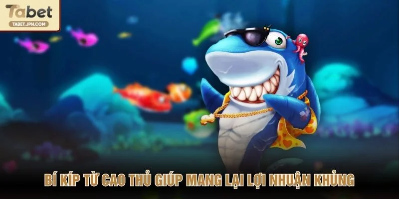 Bí kíp từ cao thủ giúp mang lại lợi nhuận khủng