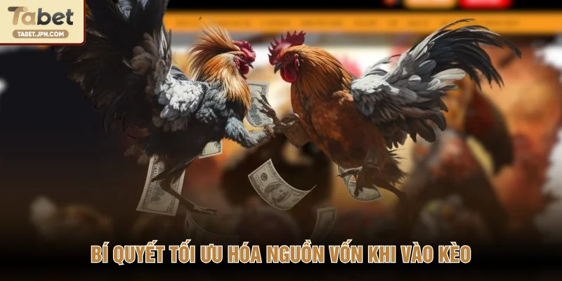 Bí quyết tối ưu hóa nguồn vốn khi vào kèo