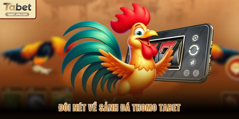 Đôi nét về sảnh đá Thomo TABET