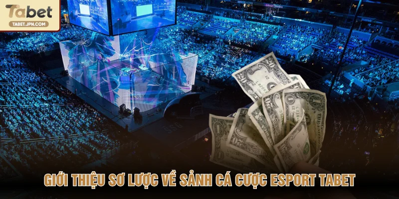 Giới thiệu sơ lược về sảnh cá cược Esport TABET