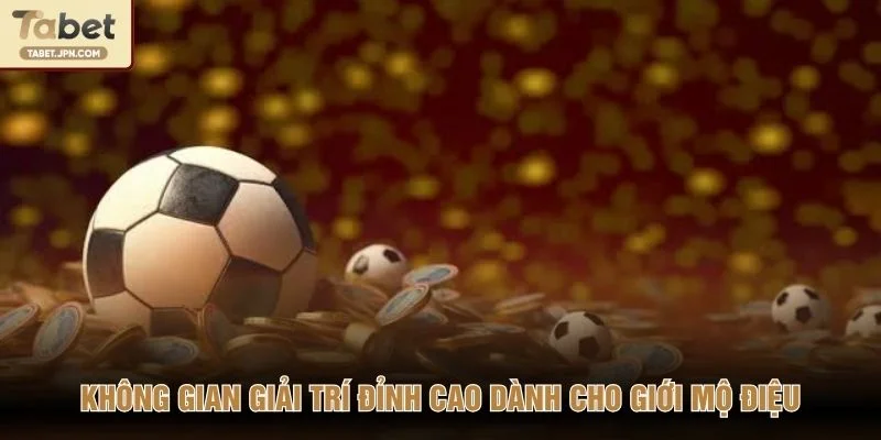 Không gian giải trí đỉnh cao dành cho giới mộ điệu
