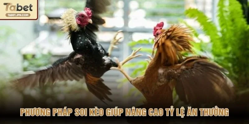 Phương pháp soi kèo giúp nâng cao tỷ lệ ăn thưởng