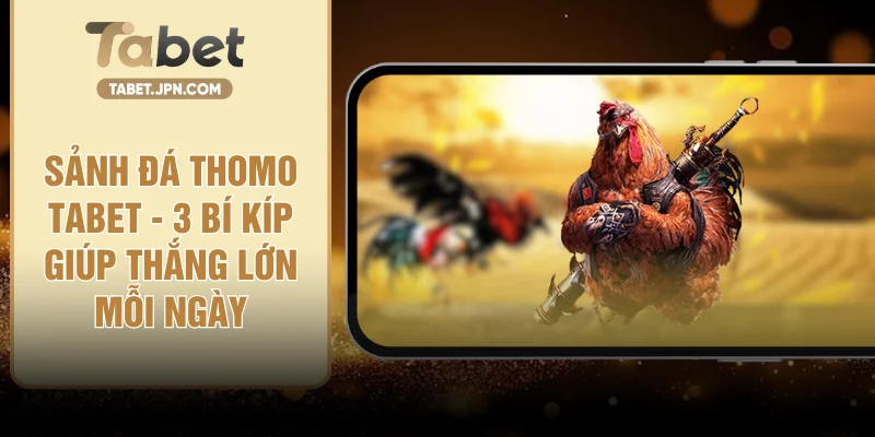 Sảnh Đá Thomo TABET - 3 Bí Kíp Giúp Thắng Lớn Mỗi Ngày
