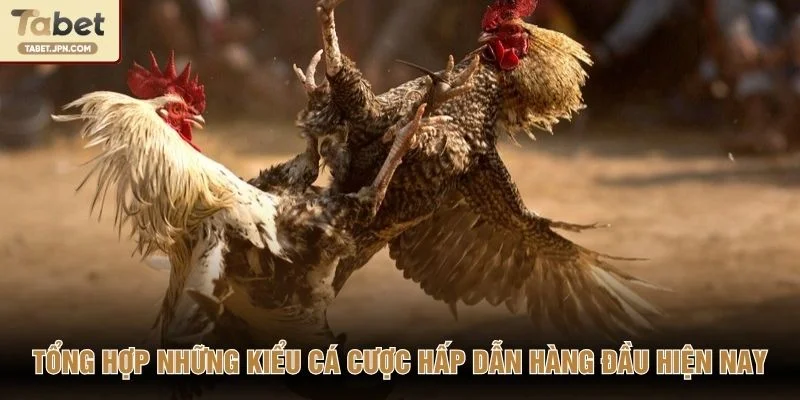 Tổng hợp những kiểu cá cược hấp dẫn hàng đầu hiện nay