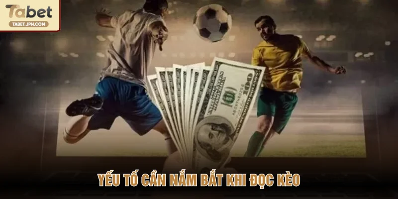 Yếu tố cần nắm bắt khi đọc kèo